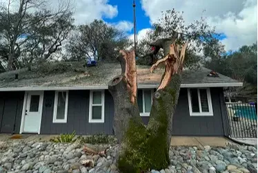 Hazardous tree removal of a split and damaged trunk beside a residential home.
