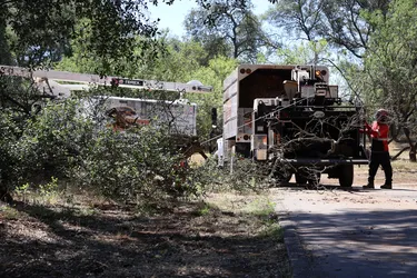Tree service crew chipping cut branches into a wood chipper on a wooded residential property.