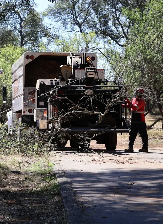 Heartwood tree service crew member feeding cut branches into a wood chipper during job site cleanup.