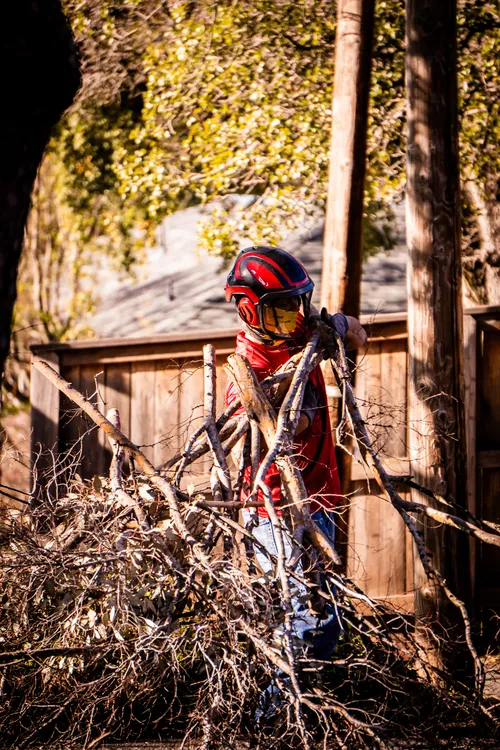 Heartwood tree service crew member carrying cut branches during residential job site cleanup.