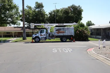 Heartwood tree service bucket truck positioned on a residential street for professional tree work.