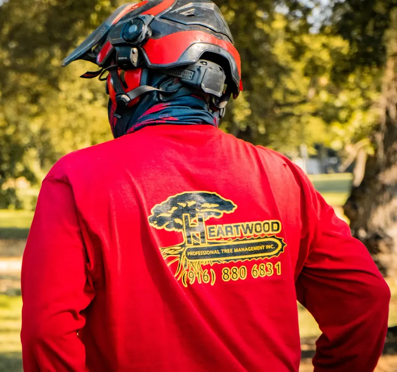 About Heartwood tree care professional wearing branded safety gear and a red company shirt outdoors in Placer County.